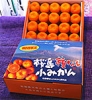 贈答用種なし桜島小みかん　Ｌ　2Ｋ