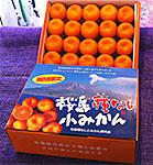 贈答用種なし桜島小みかん　Ｌ　2Ｋ