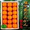 鹿児島県　屋久島産　たんかん　贈答用(化粧箱入)　５Ｋ　Ｌサイズ
