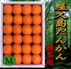 鹿児島県　屋久島産　たんかん　贈答用(化粧箱入)　５Ｋ　Ｍサイズ