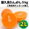 鹿児島県　屋久島産　たんかん　自宅用　５ｋ　２Ｌサイズ