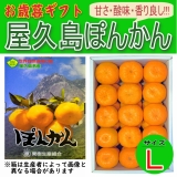 鹿児島県　屋久島産ぽんかん　贈答用　5kg　Lサイズ