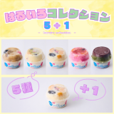 【期間限定】天文館むじゃき　はるいろコレクション 5+1　―　鹿児島名物　白くま《かき氷》